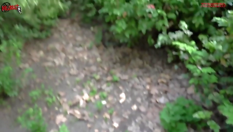 Public Blowjob In Front Of Passersby - Dolls Cult