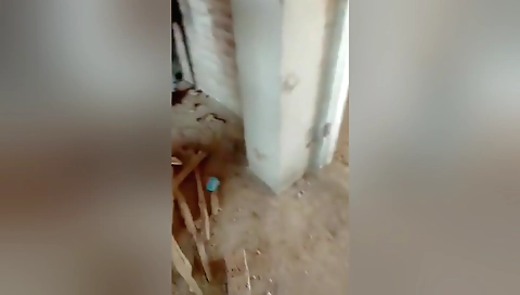 Today Exclusive- Desi Dewar Bhabhi Fucking Caught