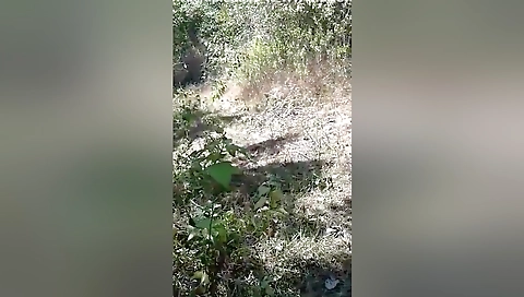 Today Exclusive- Nepali Girl Out Door Blowjob And Fucked