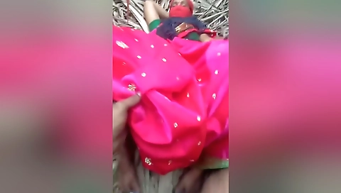 Outdoor Fuck In Field To Pink Saree Lover With Sugar Cane