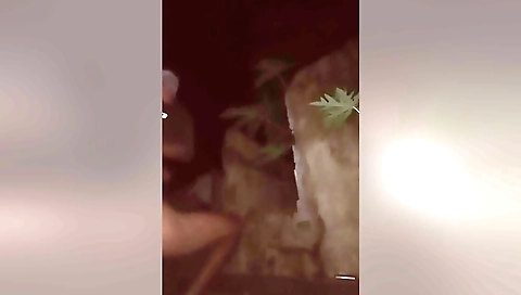 Kantotan Nang Nobya Kung Singlemom