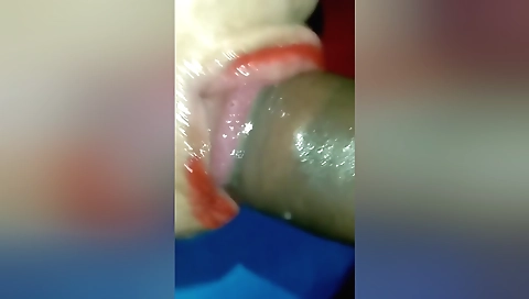 Li Ya - Bhabhi Ne Hard Lund Chusa Or Kaat