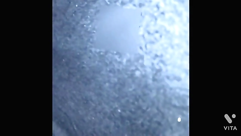 Desi Bhabhi Sucks Dick And Gets Fucked In The Night While Her Husband Is In Bedroom