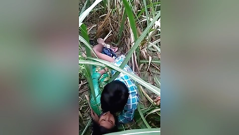 Today Exclusive- Gaana Ke Khet Main Romance And Chudai