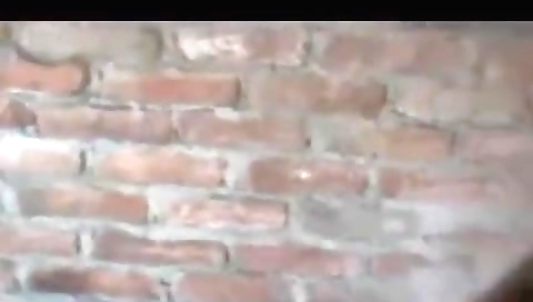 Desi Indian Village Aunty Extramarital Sex