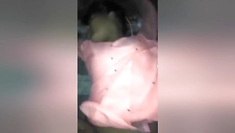 Today Exclusive- Cute Village Girl Hard Fucked By Lover