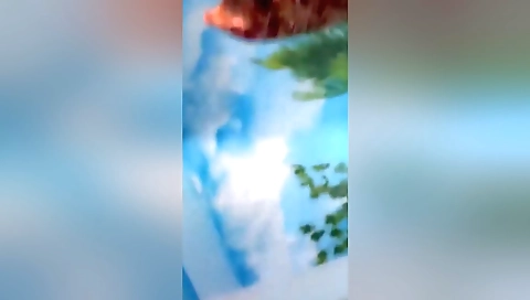 Famous Desi Couples Pussy Licking And Fucking 143