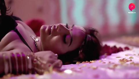 Today Exclusive -paglet 1