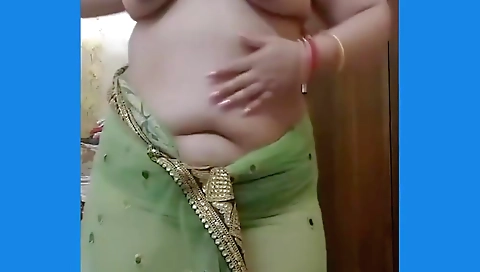 Indian Bhabi Teasing Her Husband In Net Saree